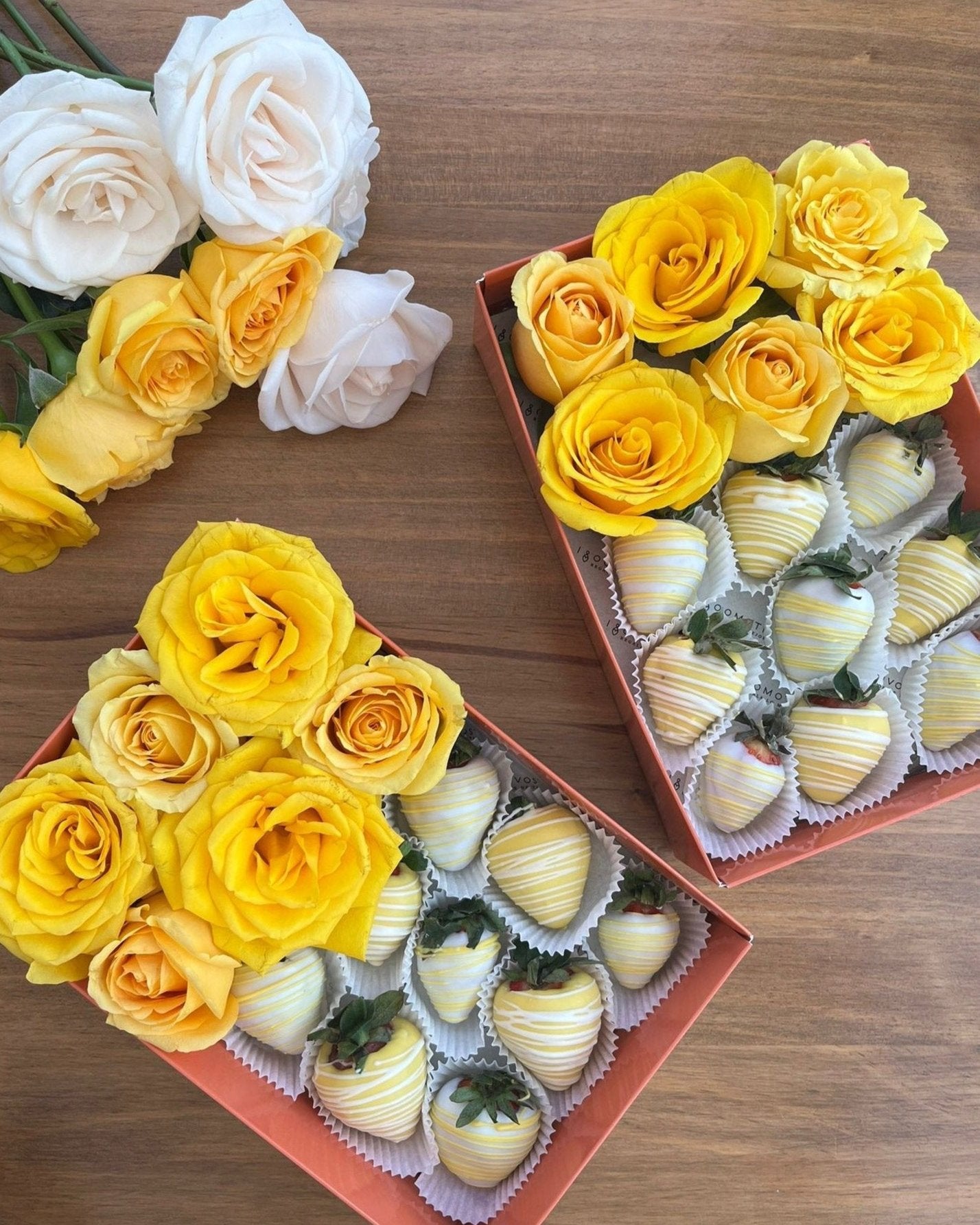 Alegria - 1800 Motivos